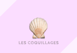 Coquillages 貝類 フランス菓子の材料